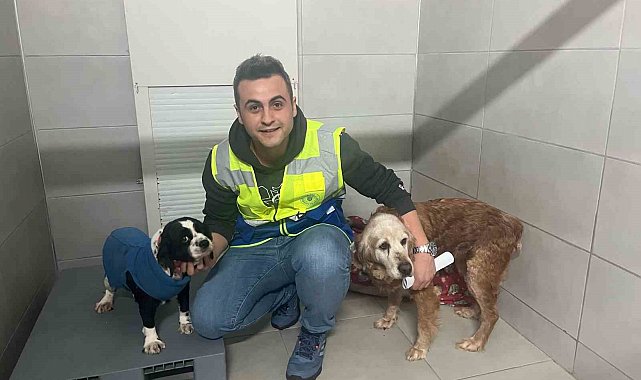 Bursa Büyükşehir, bayramda da can dostların yanında