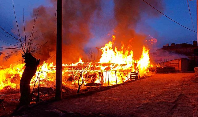 Bursa'da bir köye panik yaşatan yangın