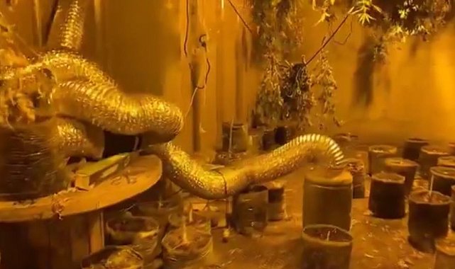 Bursa'da dev operasyon: 24 şüpheli yakalandı, 25 kilo uyuşturucu ele geçirildi