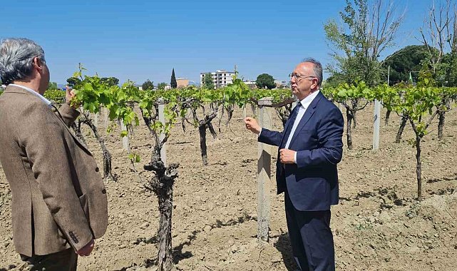 Büyükşehir'den don zararına uğrayan üreticilere destek