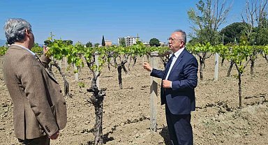 Büyükşehir'den don zararına uğrayan üreticilere destek