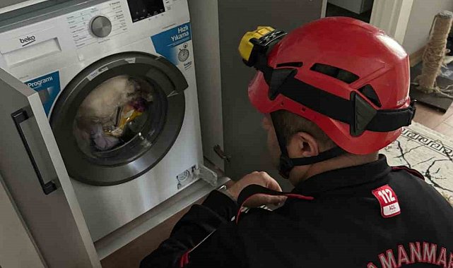 Çamaşır makinesindeki kedi kurtarıldı