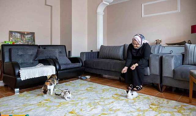 Cami avlusuna sığınan anne kedinin yavruları sahiplendirilecek