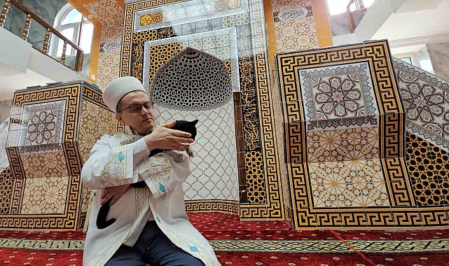 Camideki sadakat; kedisi Lola imamla beş vakit camiye geliyor