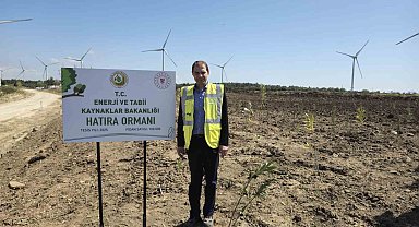 Çanakkale'de 100 bin fidanlık 'Enerji' ormanı