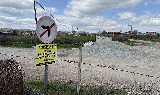 Çanakkale'de bir köye daha şap karantinası