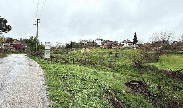 Çanakkale'de şap karantinası