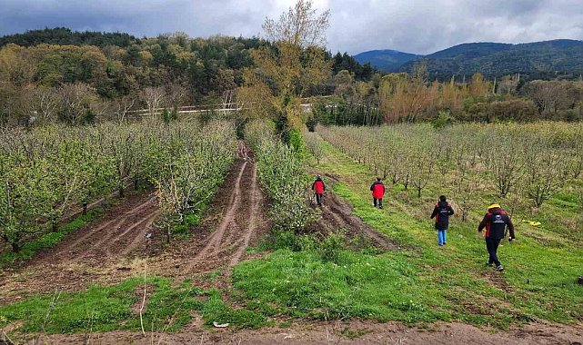Çanakkale'de zirai don hasar tespit çalışmaları devam ediyor