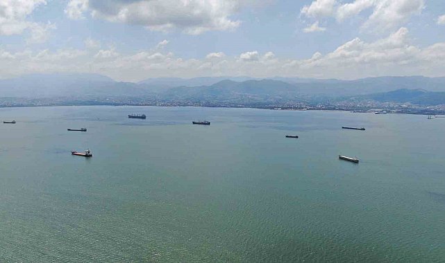 Caretta caretta rotayı şaşırdı