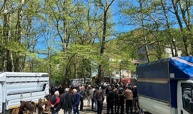 Çarşamba Pazarı'nda Kurban Bayramı hareketliliği başladı