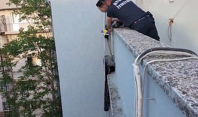 Çatı kenarında mahsur kalan yavru kediyi, itfaiye kurtardı