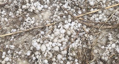 Ceviz büyüklüğünde dolu yağdı, 700 dekar tarım arazisi zarar gördü