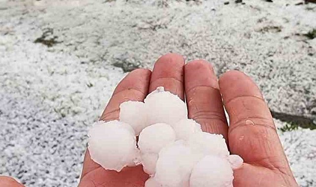 Ceviz büyüklüğünde yağdı, meyve ağaçları zarar gördü