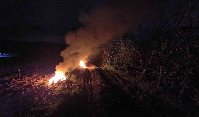 Çiftçiler meyvelerini korumak için tarlalarını ateşe verdi