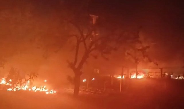 Çiftçiler sabaha kadar ürünlerini korudu