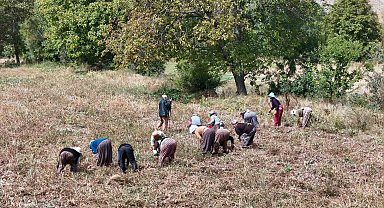 Çiftçilere destek ödemesi bugün yapılacak