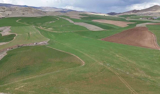 Çiftçinin yüzü yağmurla güldü