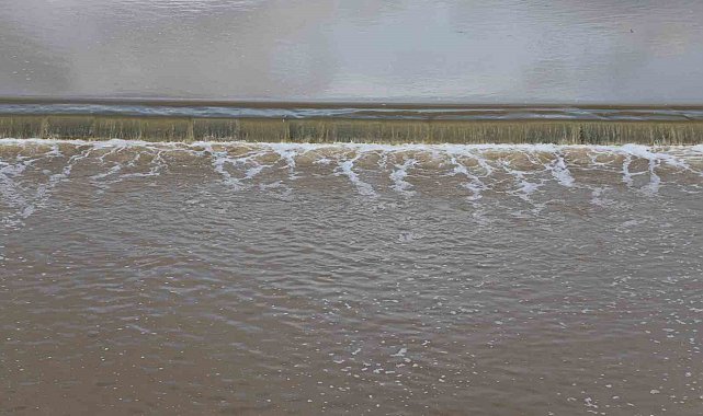 Çine çayı eski günlerine kavuşuyor, yağışlar çayın debisini arttırdı
