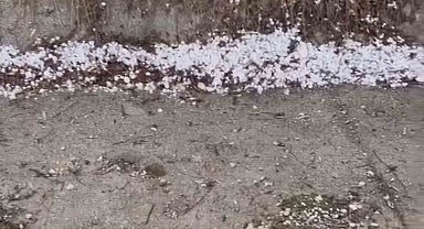 Çorum'da ceviz büyüklüğünde dolu yağdı