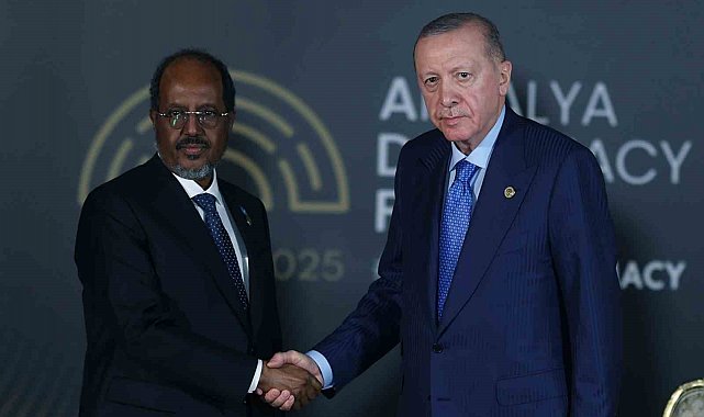 Cumhurbaşkanı Erdoğan, Somali Cumhurbaşkanı Mahmud ile görüştü