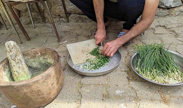 Dağdan toplanıyor, kilosu 10 bin TL'ye satılıyor