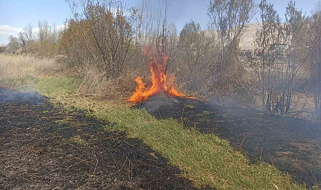 Darende'de sazlık yangını