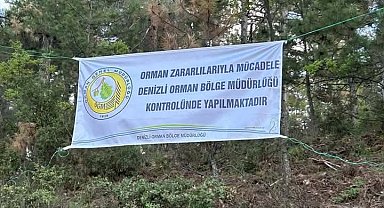 Denizli'de ağaçları kurutan böceklerle mücadele başlatıldı