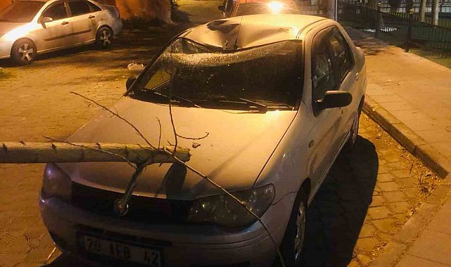 Denizli'de fırtına maddi hasara neden oldu