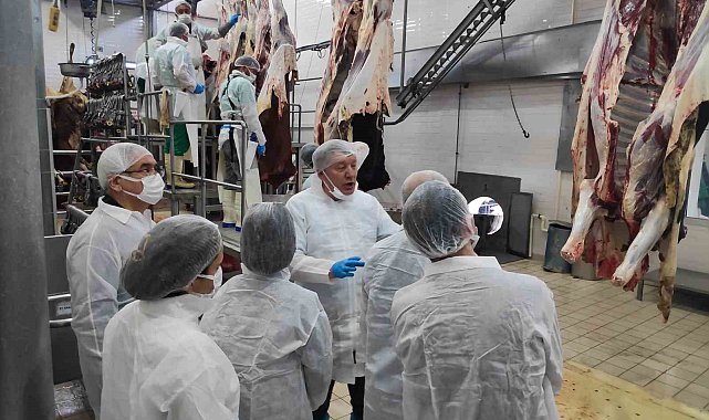 Denizli'de veteriner hekimlere yönelik eğitim düzenlendi