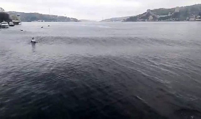 Deprem esnasında İstanbul Boğazı'nda oluşan dalgalar görüntülendi
