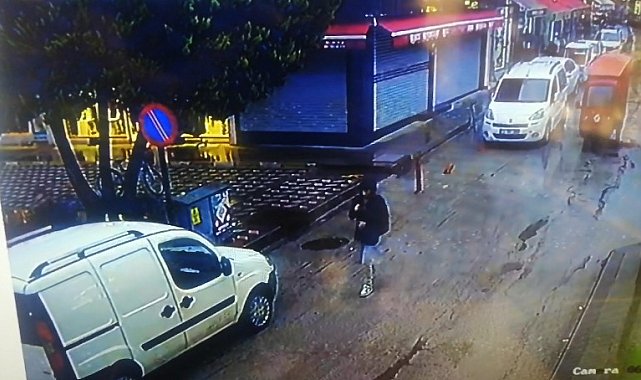 Devrilen çam ağacının altında kalmaktan kıl payı kurtuldular