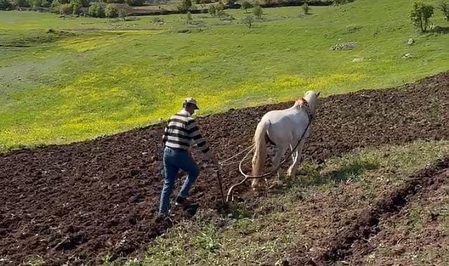 Dicle'nin bereketli topraklarında geleneksel tarım