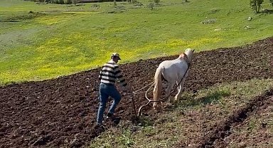 Dicle'nin bereketli topraklarında geleneksel tarım
