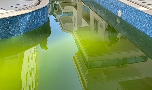 Didim'de sağlık için denetimler sıkılaşıyor