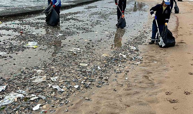 Didim'de sahillerde temizlik çalışması yapıldı