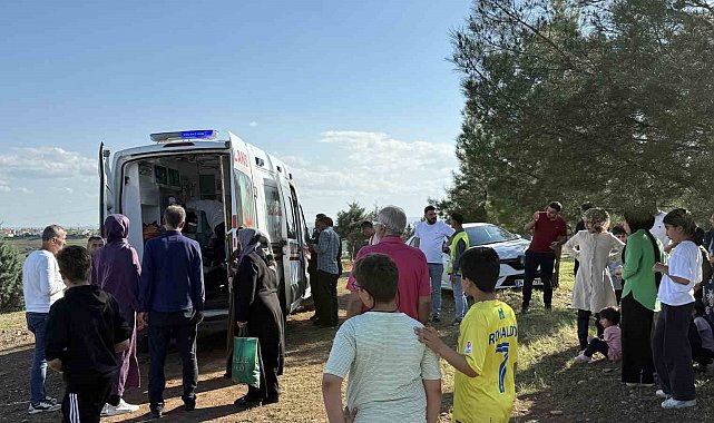 Direksiyon eğitimi sırasında yürüyüş yapan çifte ve ağaca çarptı