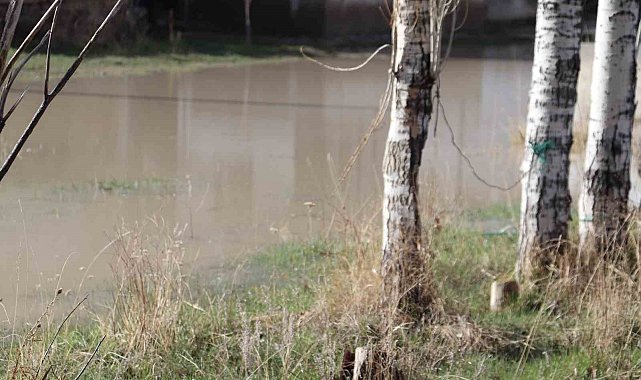 Diyadin'de bahçeler göle döndü