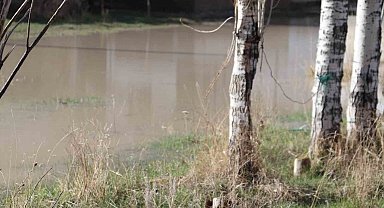 Diyadin'de bahçeler göle döndü