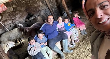 Diyadin'de büyükbaş hayvanlar için aşılama ve küpeleme seferberliği