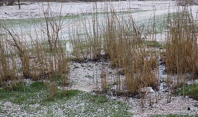 Diyadin'de dolu yağışı etkili oldu