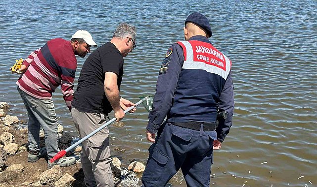 Diyarbakır'da göletteki balık ölümlerine inceleme