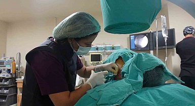 Doç. Dr. Sibel Özcan: ''Kronik ağrı çözümsüz değildir''