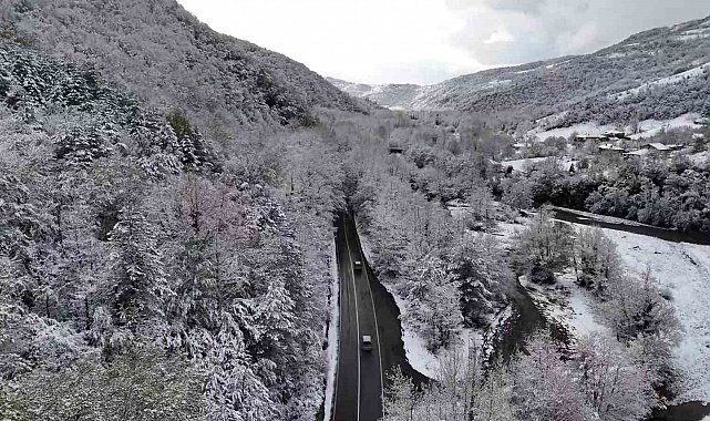Doğal ağaç tünelli yol, kar manzaralarıyla mest etti