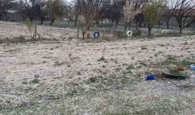 Dolu, hububatta kök hastalığına davetiye çıkardı