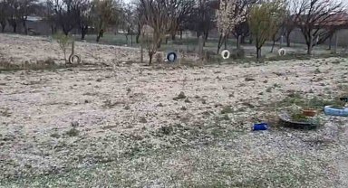 Dolu, hububatta kök hastalığına davetiye çıkardı