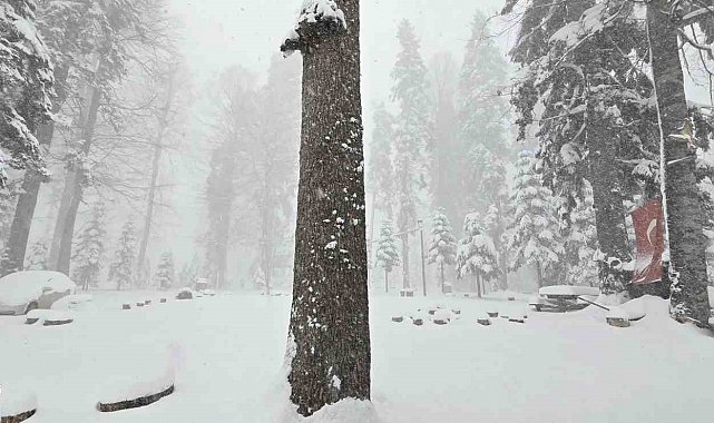 Düzce'nin yüksek kesimlerinde kar kalınlığı 50 santimetreye ulaştı