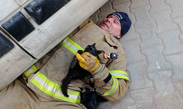 Edremit'te aracın içinde sıkışan yavru kedi kurtarıldı
