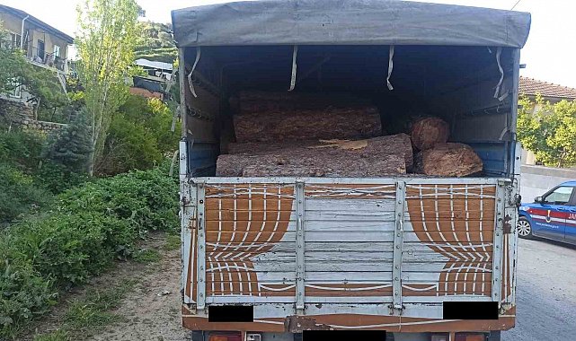 Efeler'de kaçak orman ürünü ele geçirildi