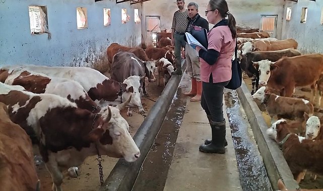 Elazığ'da aşılama ve küpeleme çalışması sürüyor