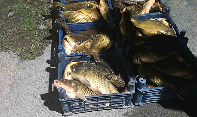 Elazığ'da kaçak avlanılan 210 kilo balık ele geçirildi